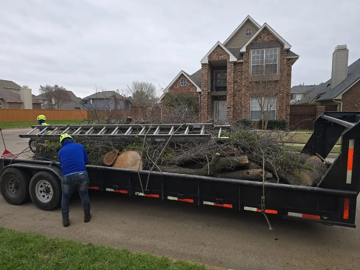 Expert Tree Fertilization with proper safety equipment in Rosston